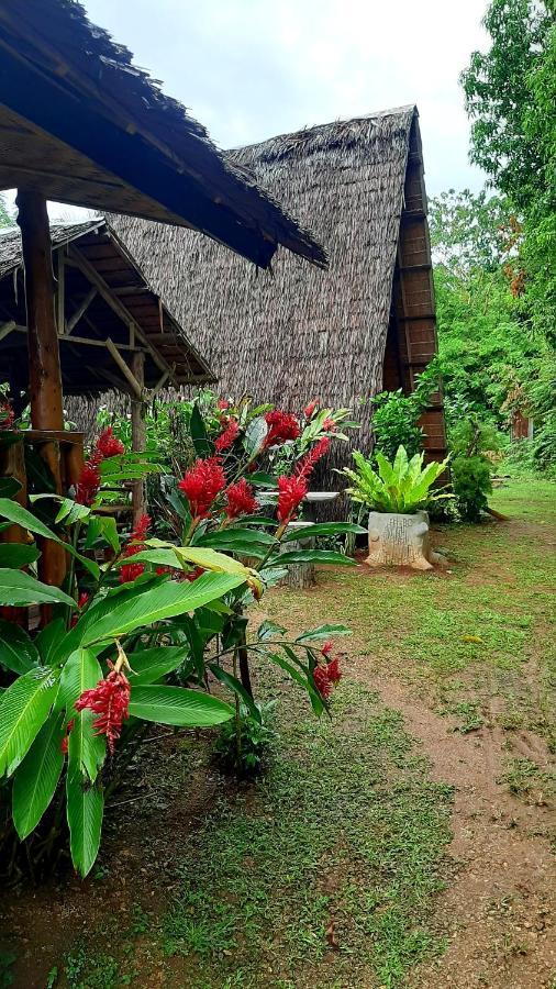 Travis Post Homestay シキホール エクステリア 写真